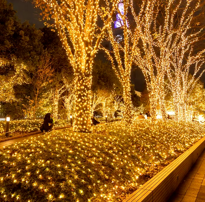 Luces de Navidad de Panel Solar